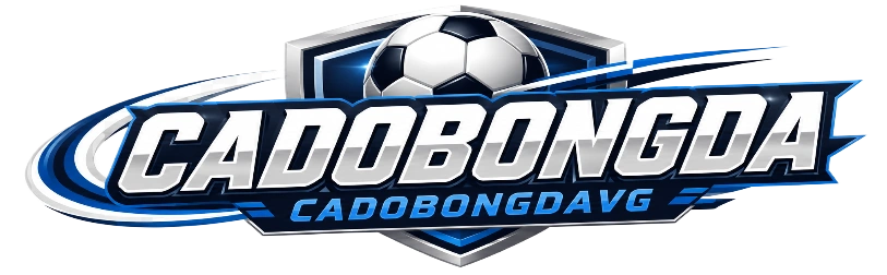 CÁ ĐỘ BÓNG ĐÁ VG