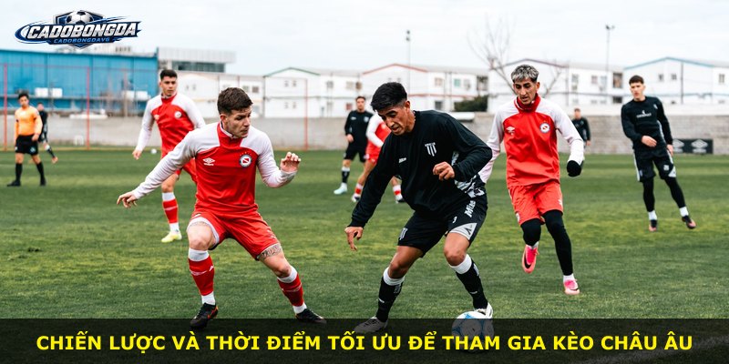 Chiến lược và thời điểm tối ưu để tham gia Kèo Châu Âu