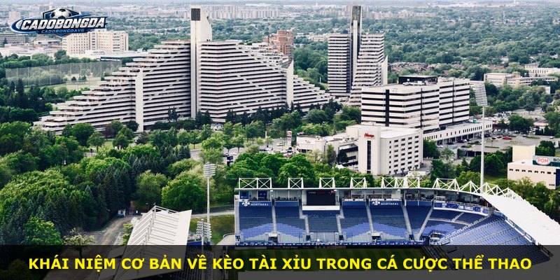 Khái niệm cơ bản về kèo Tài Xỉu trong cá cược thể thao