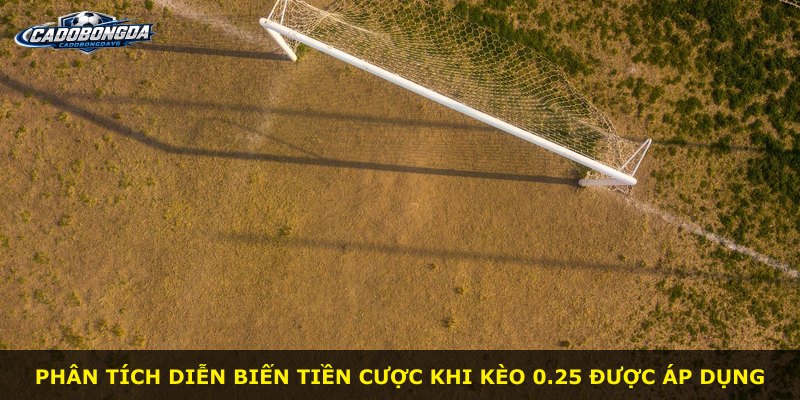 Phân tích diễn biến tiền cược khi kèo 0.25 được áp dụng