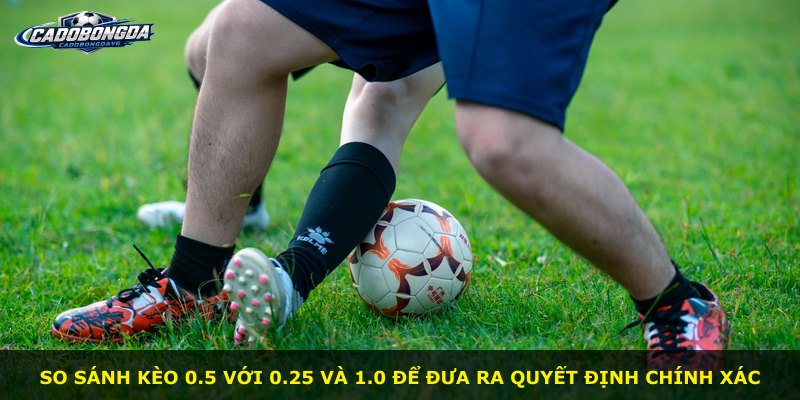 So sánh kèo 0.5 với 0.25 và 1.0 để đưa ra quyết định chính xác
