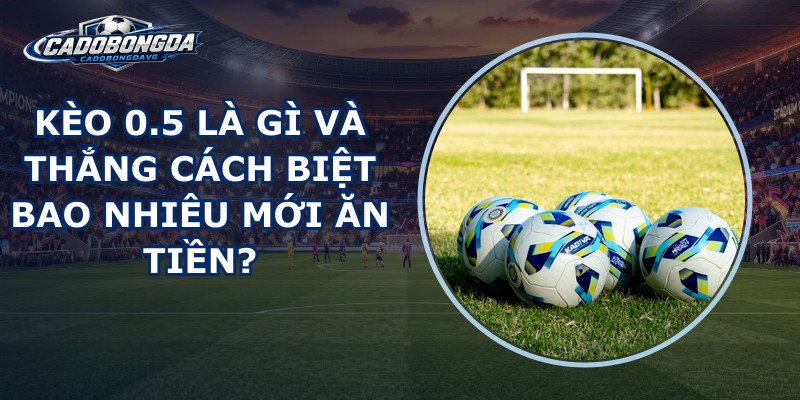 Kèo 0.5 Là Gì