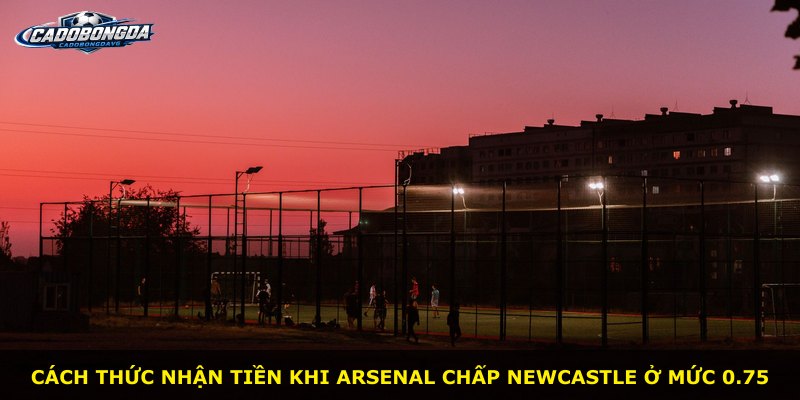 Cách thức nhận tiền khi Arsenal chấp Newcastle ở mức 0.75