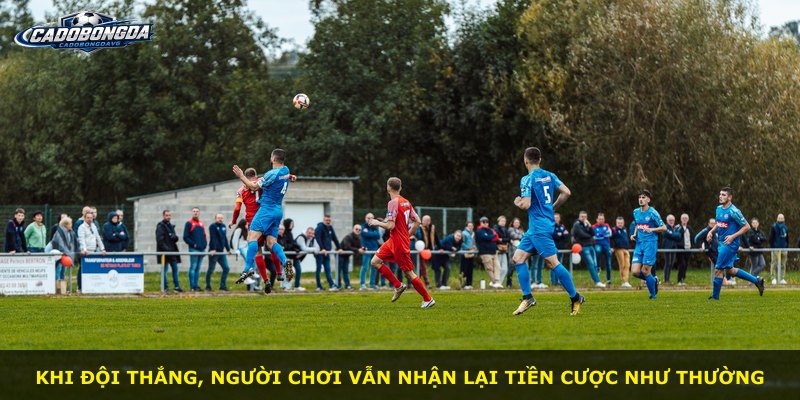 Khi đội thắng, người chơi vẫn nhận lại tiền cược như thường