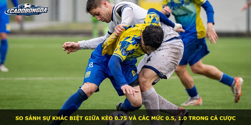 So sánh sự khác biệt giữa kèo 0.75 và các mức 0.5, 1.0 trong cá cược
