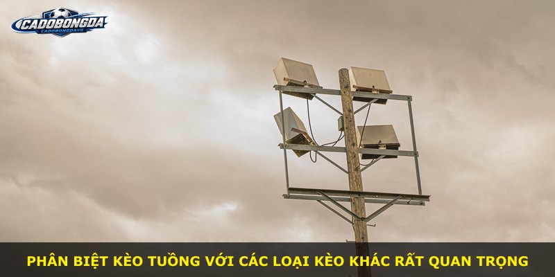 Phân biệt Kèo Tuồng với các loại kèo khác rất quan trọng