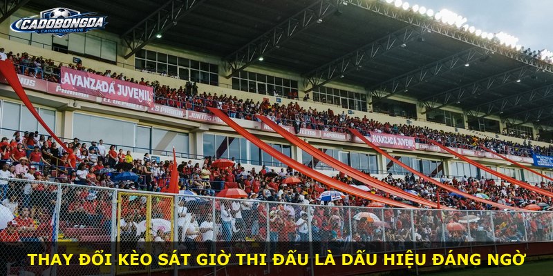 Thay đổi kèo sát giờ thi đấu là dấu hiệu đáng ngờ