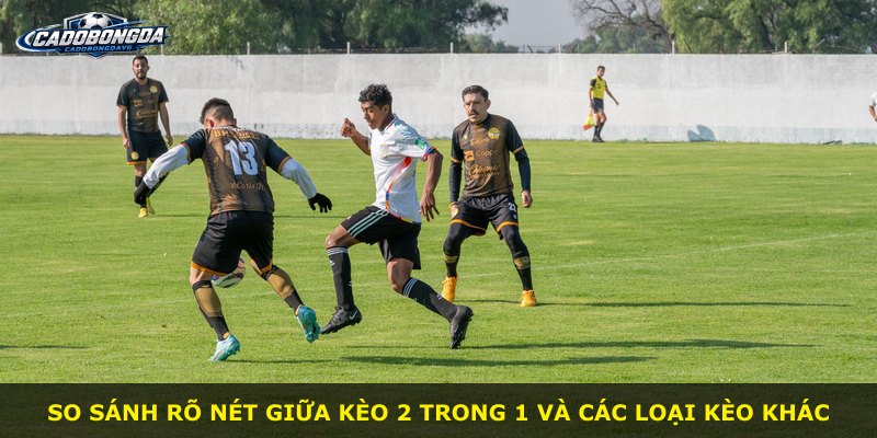 So sánh rõ nét giữa kèo 2 trong 1 và các loại kèo khác